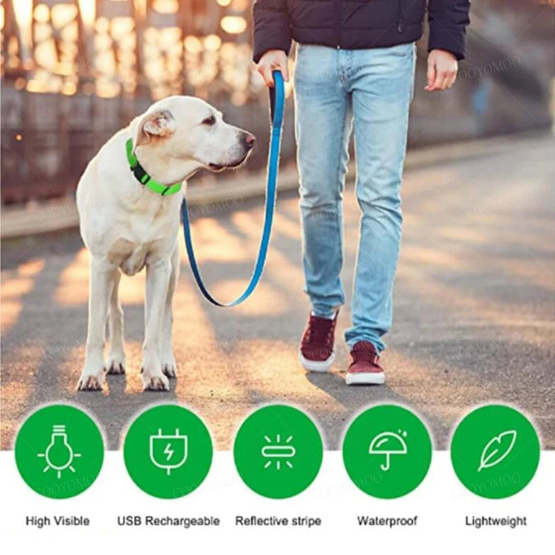 LED Rechargeable Dog Collar with 3 Light Modes