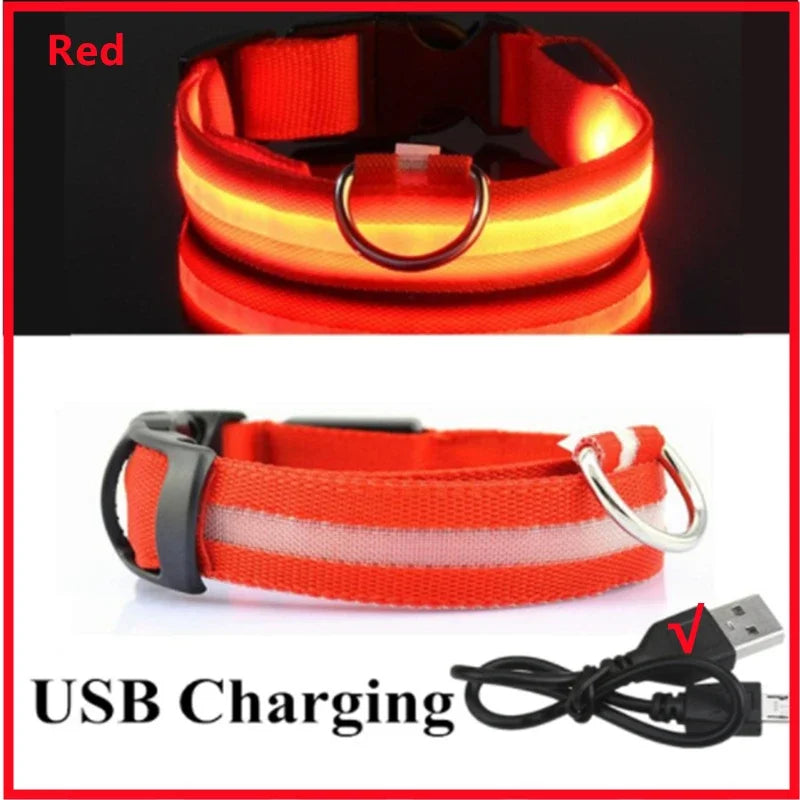 LED Rechargeable Dog Collar with 3 Light Modes