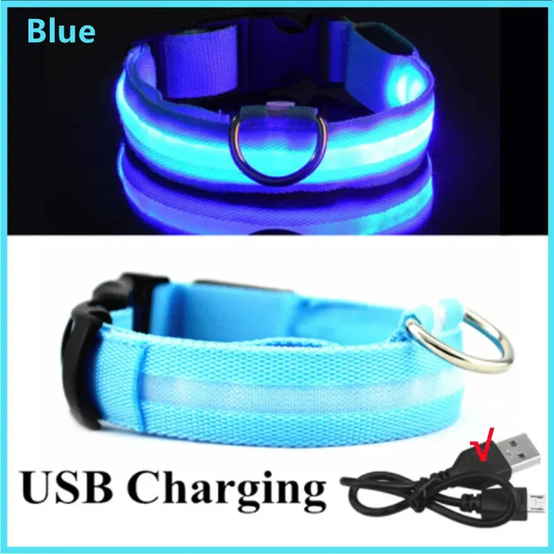 LED Rechargeable Dog Collar with 3 Light Modes