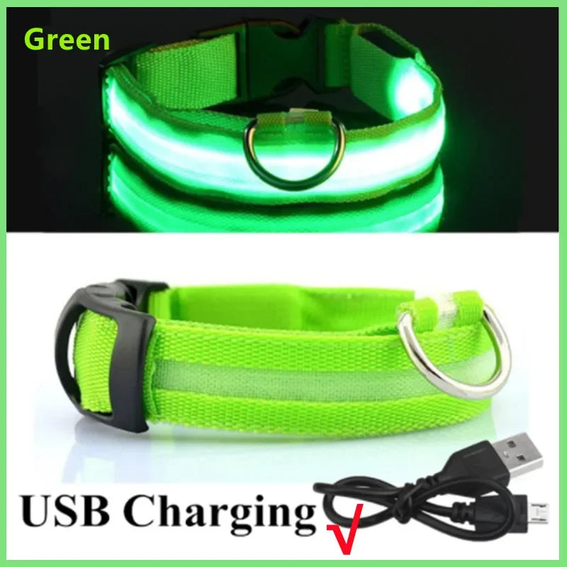 LED Rechargeable Dog Collar with 3 Light Modes