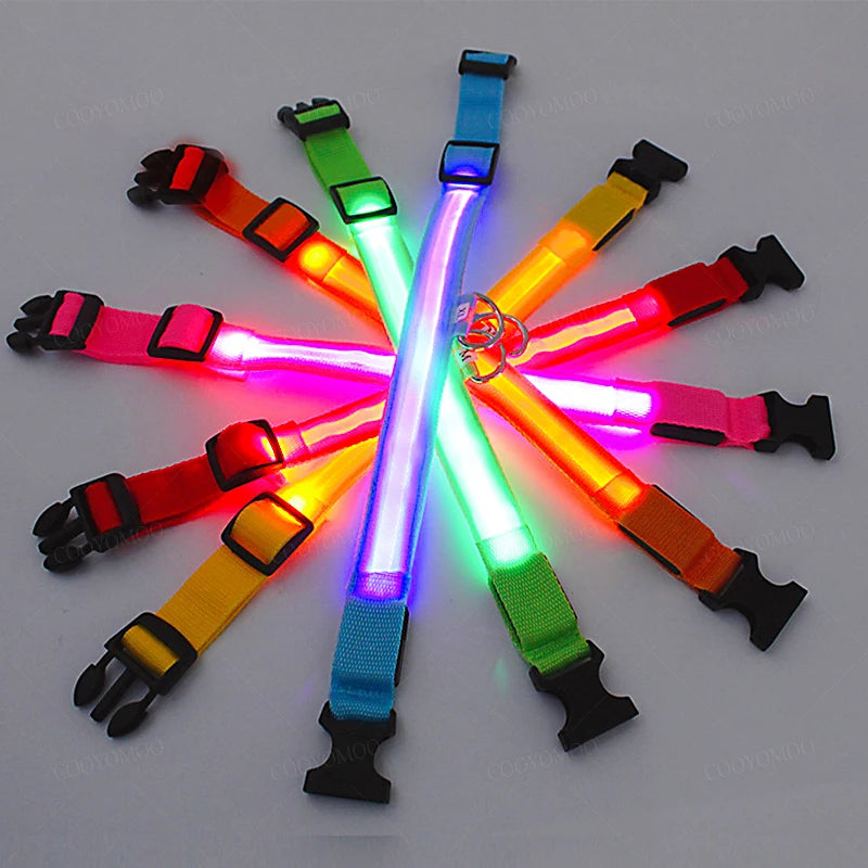 LED Rechargeable Dog Collar with 3 Light Modes