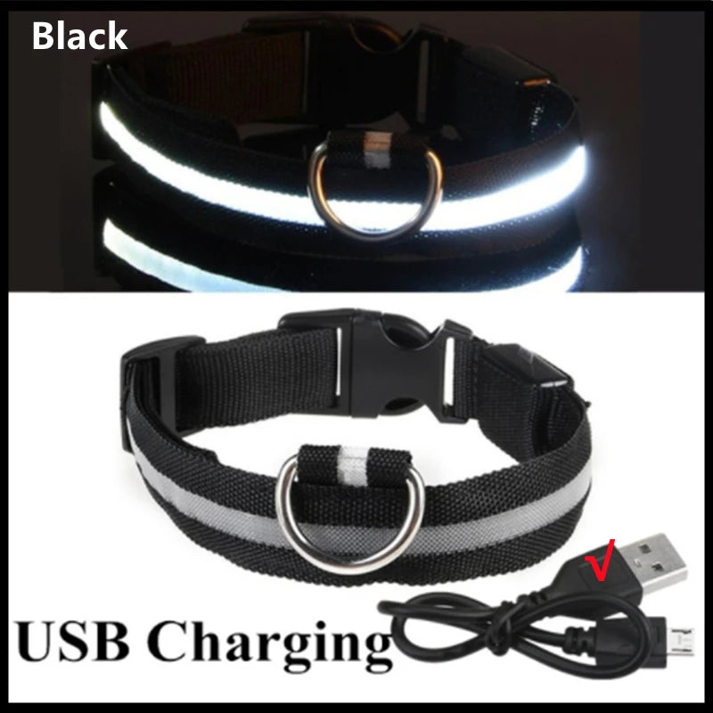 LED Rechargeable Dog Collar with 3 Light Modes