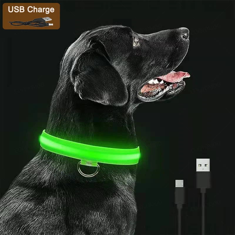 LED Rechargeable Dog Collar with 3 Light Modes